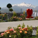Kayseri Büyükşehir Belediyesi tarafından yürütülen yeşil alan ve çiçeklendirme çalışmaları