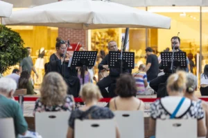 Mersin'de düzenlenen klasik müzik dinletileri etkinliğinden bir sahne