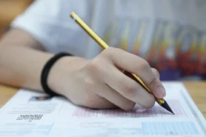 MEB LGS tercih ve yerleştirme kılavuzu duyurusu