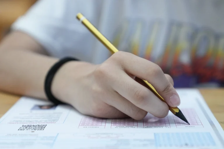 MEB LGS tercih ve yerleştirme kılavuzu duyurusu
