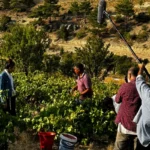 Mersin Sinema Ofisi logo ve film çekim ekipmanları