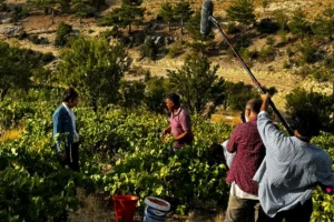 Mersin Sinema Ofisi logo ve film çekim ekipmanları