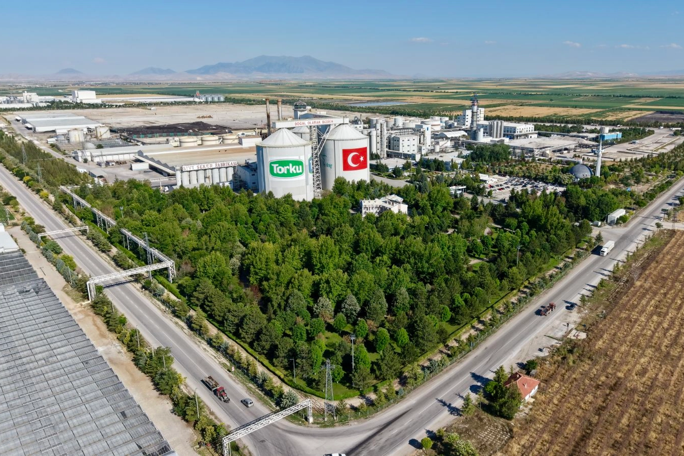 Konya Şeker'den çiftçilere 664 milyon TL'lik avans ödemesi yapılıyor.