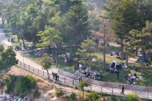 Sarımsaklı Barajı Mesire Alanı'nda piknik yapan aileler ve yeşil doğa manzarası