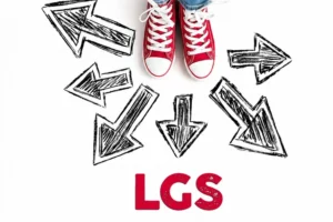 Maltepe Belediyesi LGS tercih danışmanlığı desteği
