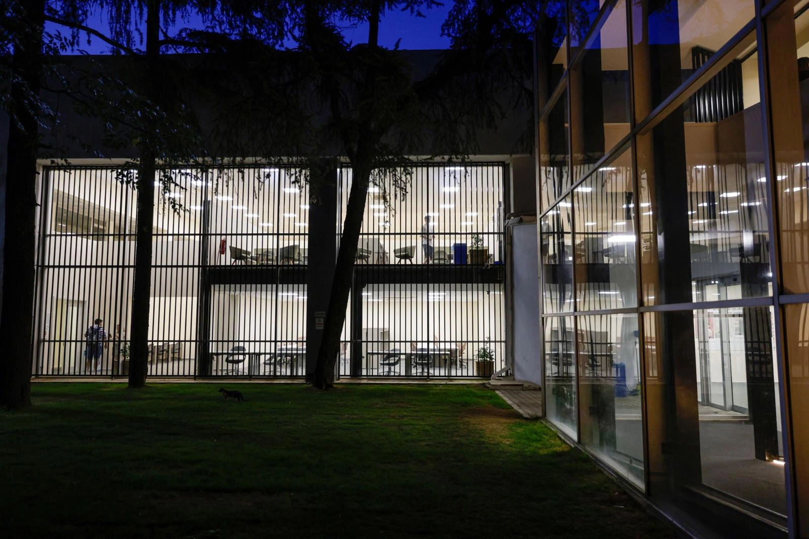 İzmir Kültürpark'ta bulunan kütüphanelerden birinin gece açık olduğu ve yoğun ilgi gördüğü