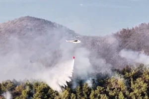 Muğla Milas'taki orman yangınına müdahale eden ekipler