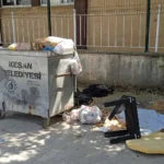 Keşan'da çevre kirliliği: Uzayan otlar ve taşan çöp konteynerleri