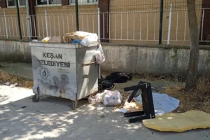 Keşan'da çevre kirliliği: Uzayan otlar ve taşan çöp konteynerleri