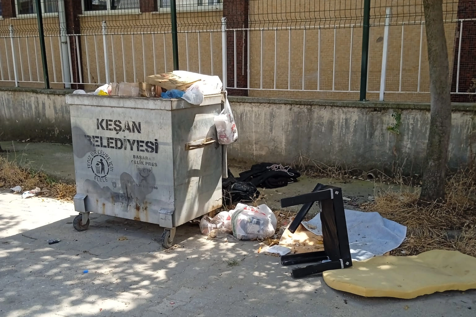 Keşan'da çevre kirliliği: Uzayan otlar ve taşan çöp konteynerleri