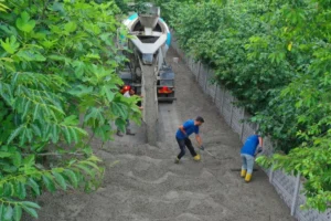 Ordu Ünye Hanyanı Mahallesi'nde devam eden beton yol çalışmaları