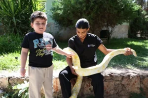 Antalya Doğal Yaşam Parkı'nda Dünya Yılan Günü etkinliği kapsamında yılanlar sergilendi.