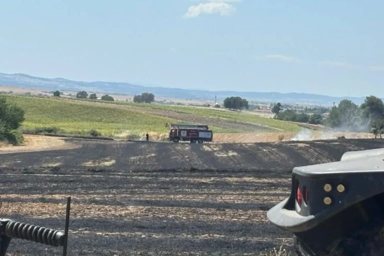 Edirne Aliçopehlivan Köyü'nde çıkan buğday tarlası yangınında zarar gören alan