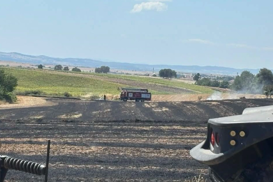 Edirne Aliçopehlivan Köyü'nde çıkan buğday tarlası yangınında zarar gören alan
