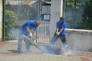Antalya Büyükşehir Belediyesi ekipleri vektörel mücadele çalışması yapıyor