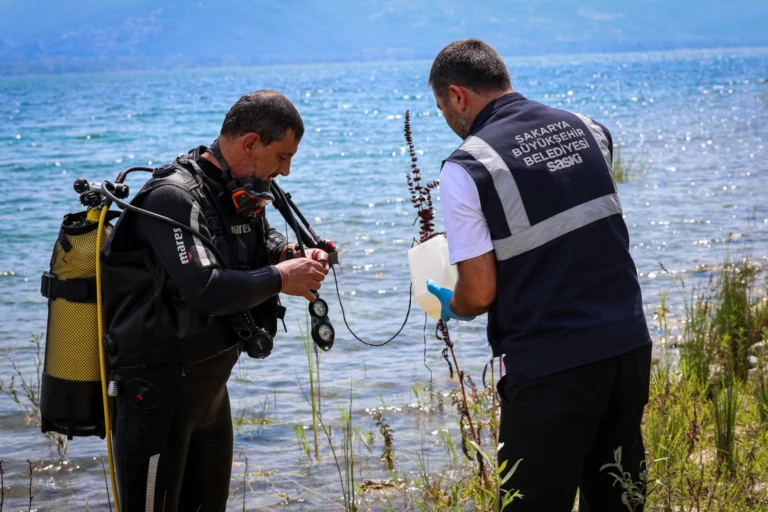 Sapanca Gölü'nde alg oluşumu ve uzman görüşleri